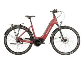 RALEIGH Motus Tour Hub Gears