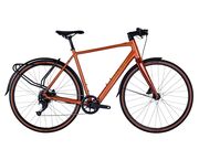 RALEIGH Trace click to zoom image