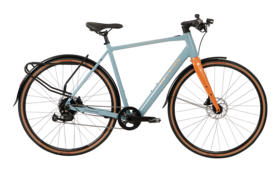RALEIGH Trace