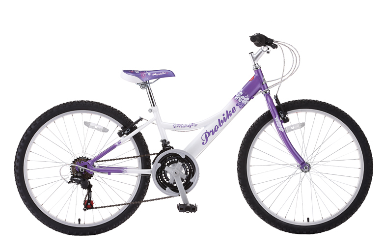 PROBIKE BIKE BUDDY :: £149.99 :: KIDS BIKES :: Tag-a-long Bikes :: Ranelagh  Cycle Warehouse