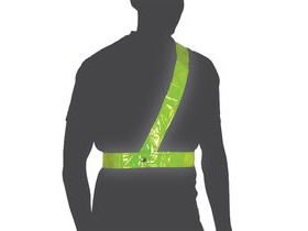 OXFORD Bright Belt