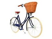 PASHLEY Britannia 8 speed step 17.5" Blue  click to zoom image
