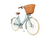 PASHLEY Britannia 5 speed step 17.5 Duck egg  click to zoom image