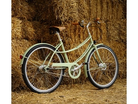 PASHLEY Penny