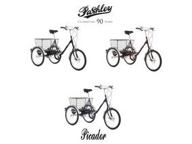 PASHLEY Picador Adults Trike