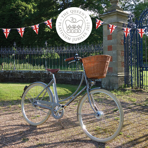PASHLEY Britannia Jubilee special 5 speed hub click to zoom image