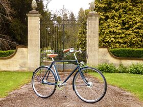 PASHLEY Kingsmen 8speed